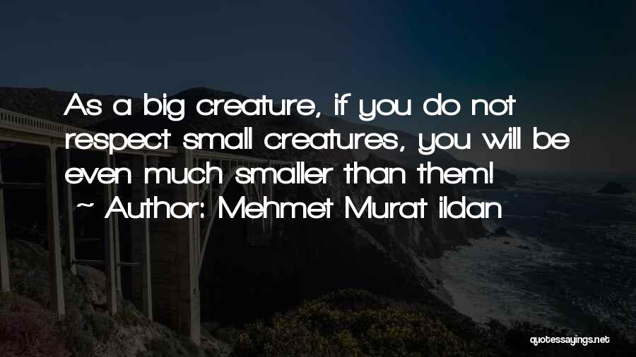 Mehmet Murat Ildan Quotes: As A Big Creature, If You Do Not Respect Small Creatures, You Will Be Even Much Smaller Than Them!