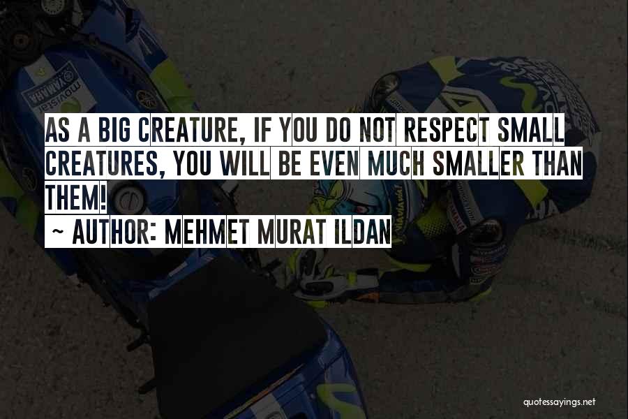 Mehmet Murat Ildan Quotes: As A Big Creature, If You Do Not Respect Small Creatures, You Will Be Even Much Smaller Than Them!