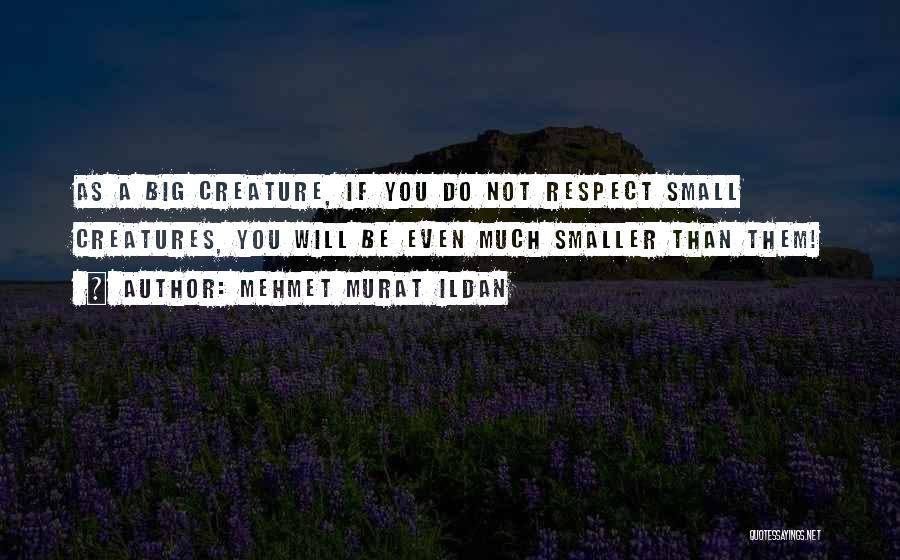 Mehmet Murat Ildan Quotes: As A Big Creature, If You Do Not Respect Small Creatures, You Will Be Even Much Smaller Than Them!