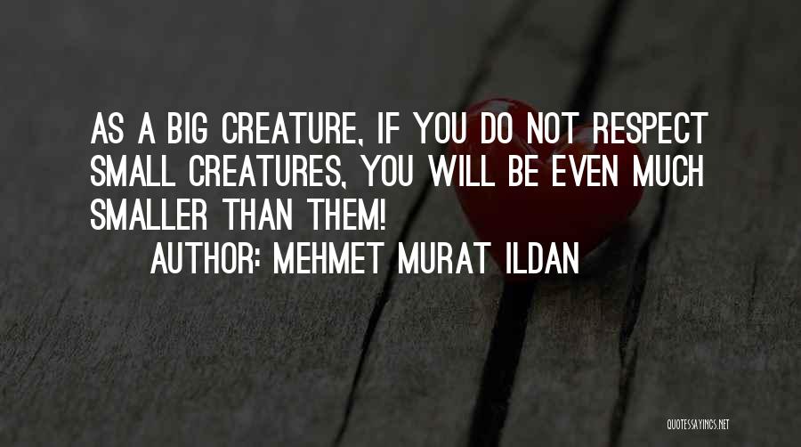 Mehmet Murat Ildan Quotes: As A Big Creature, If You Do Not Respect Small Creatures, You Will Be Even Much Smaller Than Them!