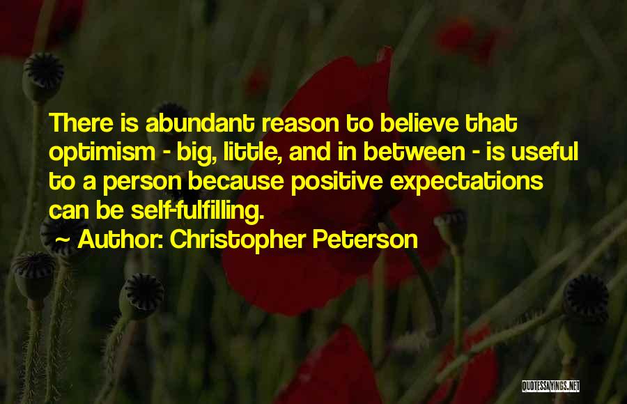 Christopher Peterson Quotes: There Is Abundant Reason To Believe That Optimism - Big, Little, And In Between - Is Useful To A Person