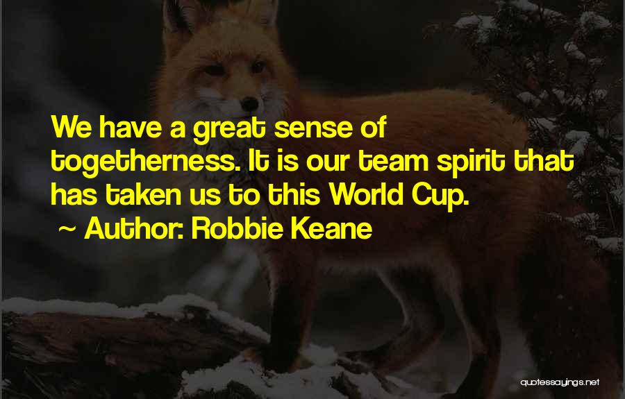 Robbie Keane Quotes: We Have A Great Sense Of Togetherness. It Is Our Team Spirit That Has Taken Us To This World Cup.