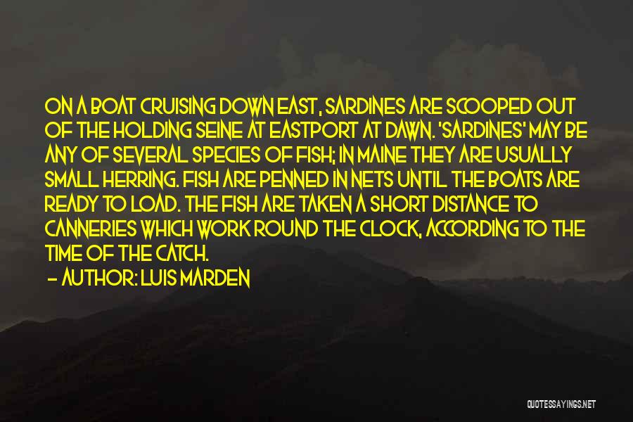 Luis Marden Quotes: On A Boat Cruising Down East, Sardines Are Scooped Out Of The Holding Seine At Eastport At Dawn. 'sardines' May