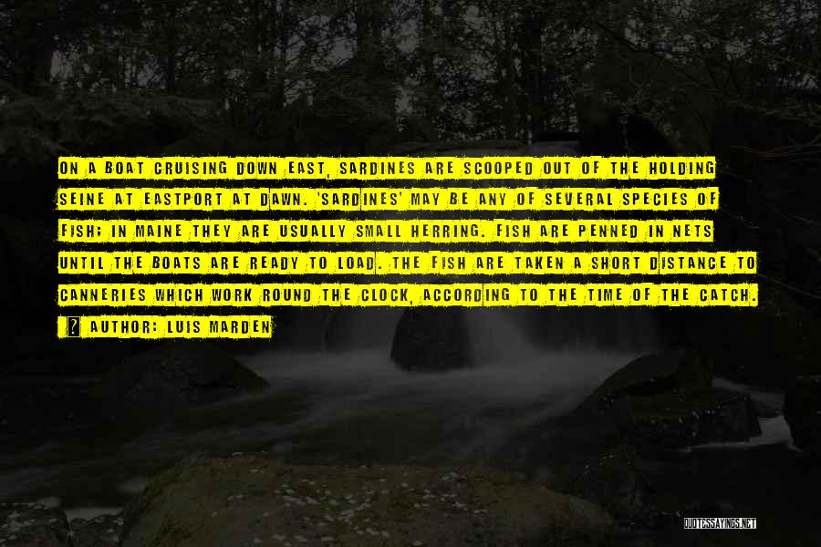 Luis Marden Quotes: On A Boat Cruising Down East, Sardines Are Scooped Out Of The Holding Seine At Eastport At Dawn. 'sardines' May