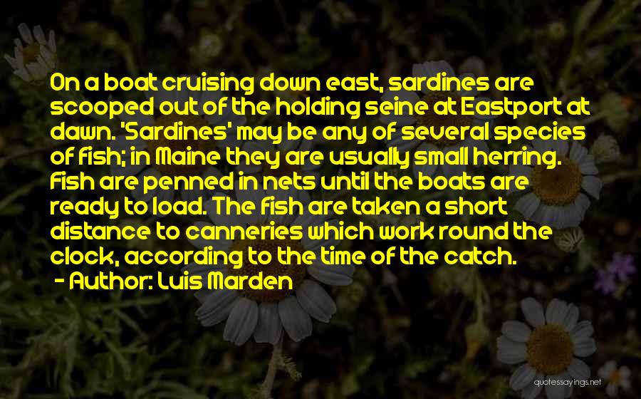 Luis Marden Quotes: On A Boat Cruising Down East, Sardines Are Scooped Out Of The Holding Seine At Eastport At Dawn. 'sardines' May