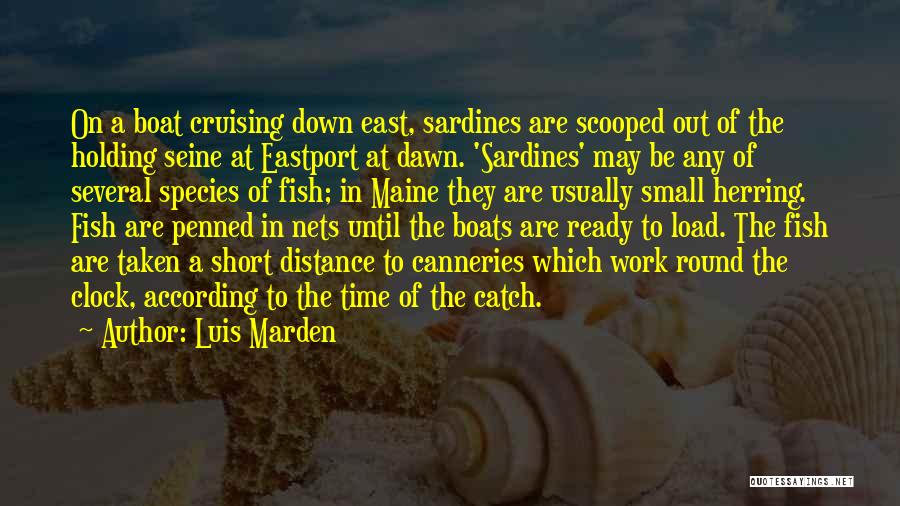 Luis Marden Quotes: On A Boat Cruising Down East, Sardines Are Scooped Out Of The Holding Seine At Eastport At Dawn. 'sardines' May