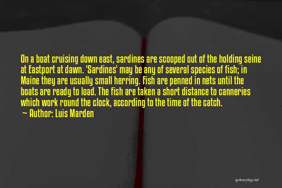 Luis Marden Quotes: On A Boat Cruising Down East, Sardines Are Scooped Out Of The Holding Seine At Eastport At Dawn. 'sardines' May