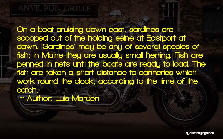 Luis Marden Quotes: On A Boat Cruising Down East, Sardines Are Scooped Out Of The Holding Seine At Eastport At Dawn. 'sardines' May