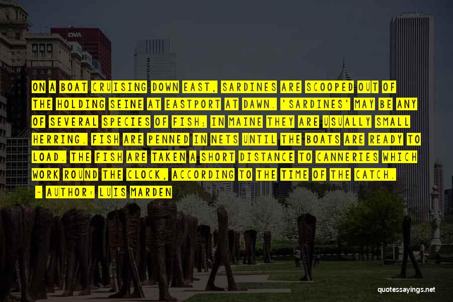 Luis Marden Quotes: On A Boat Cruising Down East, Sardines Are Scooped Out Of The Holding Seine At Eastport At Dawn. 'sardines' May