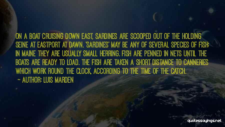 Luis Marden Quotes: On A Boat Cruising Down East, Sardines Are Scooped Out Of The Holding Seine At Eastport At Dawn. 'sardines' May