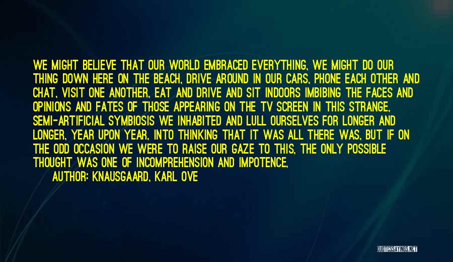 Knausgaard, Karl Ove Quotes: We Might Believe That Our World Embraced Everything, We Might Do Our Thing Down Here On The Beach, Drive Around