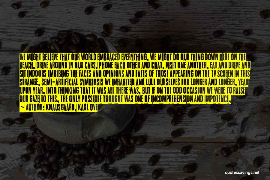 Knausgaard, Karl Ove Quotes: We Might Believe That Our World Embraced Everything, We Might Do Our Thing Down Here On The Beach, Drive Around