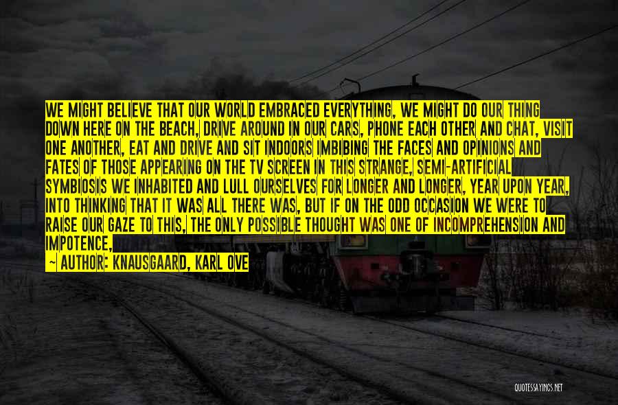 Knausgaard, Karl Ove Quotes: We Might Believe That Our World Embraced Everything, We Might Do Our Thing Down Here On The Beach, Drive Around