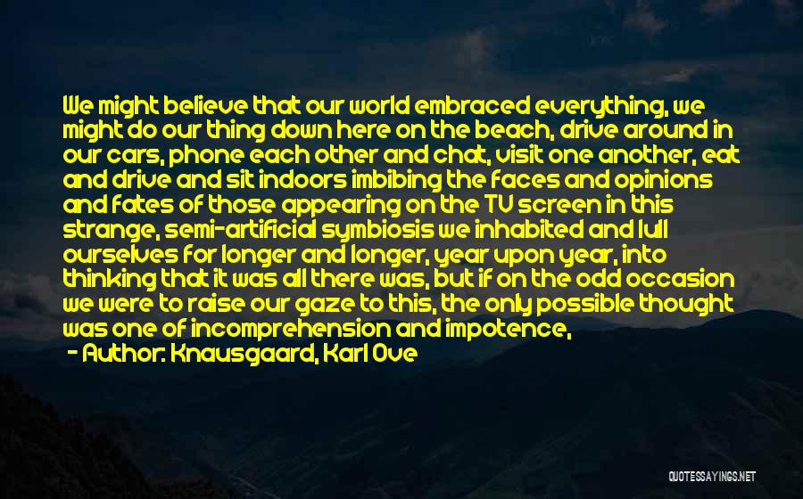 Knausgaard, Karl Ove Quotes: We Might Believe That Our World Embraced Everything, We Might Do Our Thing Down Here On The Beach, Drive Around