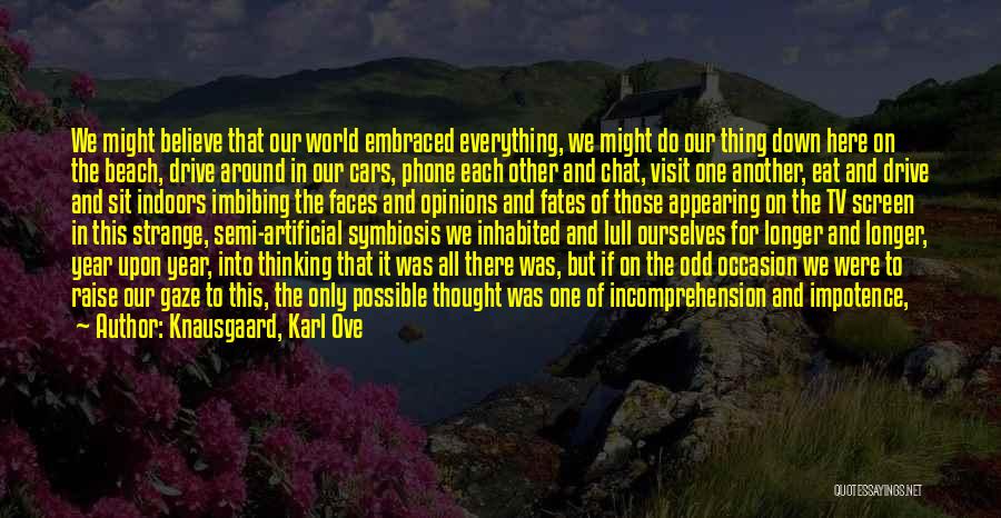 Knausgaard, Karl Ove Quotes: We Might Believe That Our World Embraced Everything, We Might Do Our Thing Down Here On The Beach, Drive Around