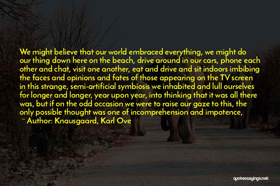 Knausgaard, Karl Ove Quotes: We Might Believe That Our World Embraced Everything, We Might Do Our Thing Down Here On The Beach, Drive Around