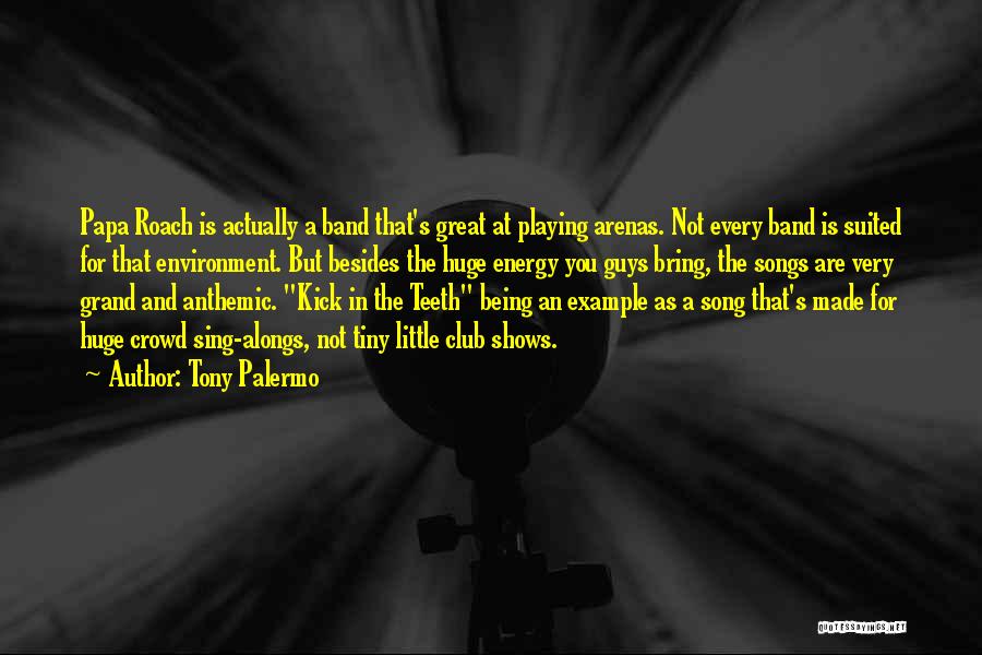 Tony Palermo Quotes: Papa Roach Is Actually A Band That's Great At Playing Arenas. Not Every Band Is Suited For That Environment. But