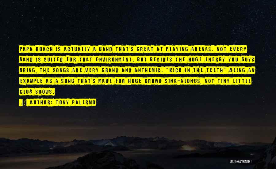 Tony Palermo Quotes: Papa Roach Is Actually A Band That's Great At Playing Arenas. Not Every Band Is Suited For That Environment. But