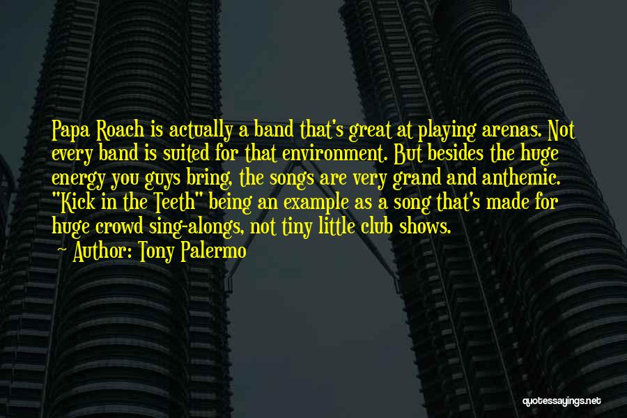 Tony Palermo Quotes: Papa Roach Is Actually A Band That's Great At Playing Arenas. Not Every Band Is Suited For That Environment. But