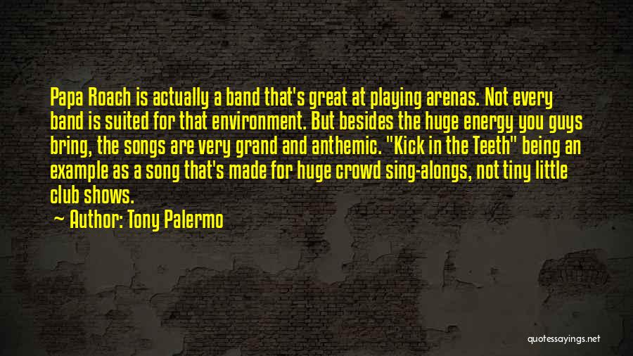 Tony Palermo Quotes: Papa Roach Is Actually A Band That's Great At Playing Arenas. Not Every Band Is Suited For That Environment. But