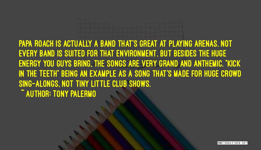 Tony Palermo Quotes: Papa Roach Is Actually A Band That's Great At Playing Arenas. Not Every Band Is Suited For That Environment. But