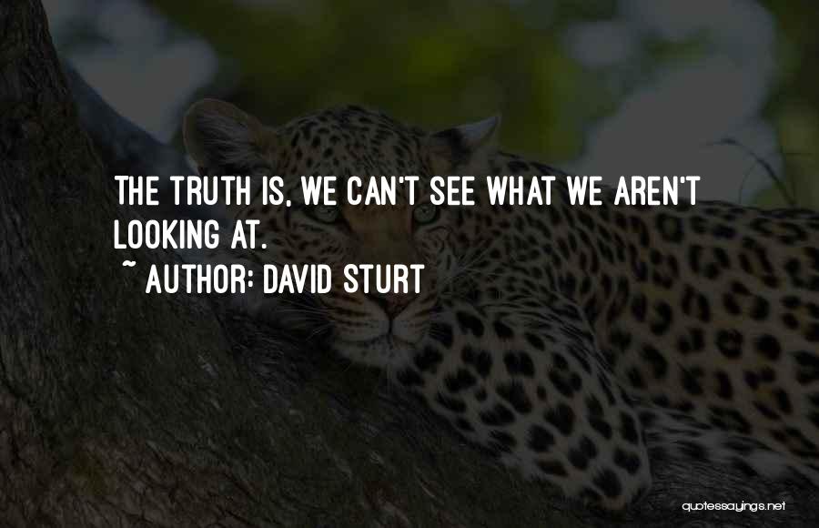 David Sturt Quotes: The Truth Is, We Can't See What We Aren't Looking At.