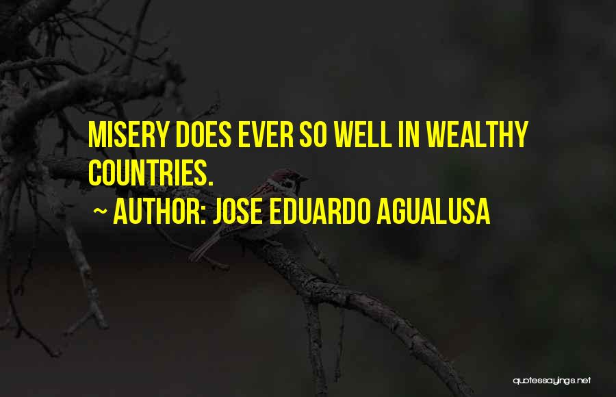 Jose Eduardo Agualusa Quotes: Misery Does Ever So Well In Wealthy Countries.