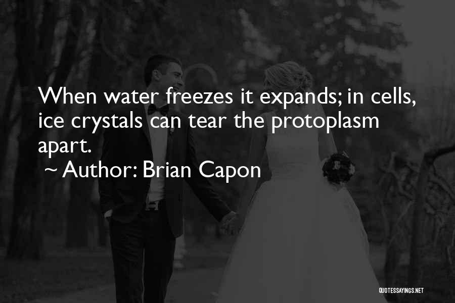 Brian Capon Quotes: When Water Freezes It Expands; In Cells, Ice Crystals Can Tear The Protoplasm Apart.