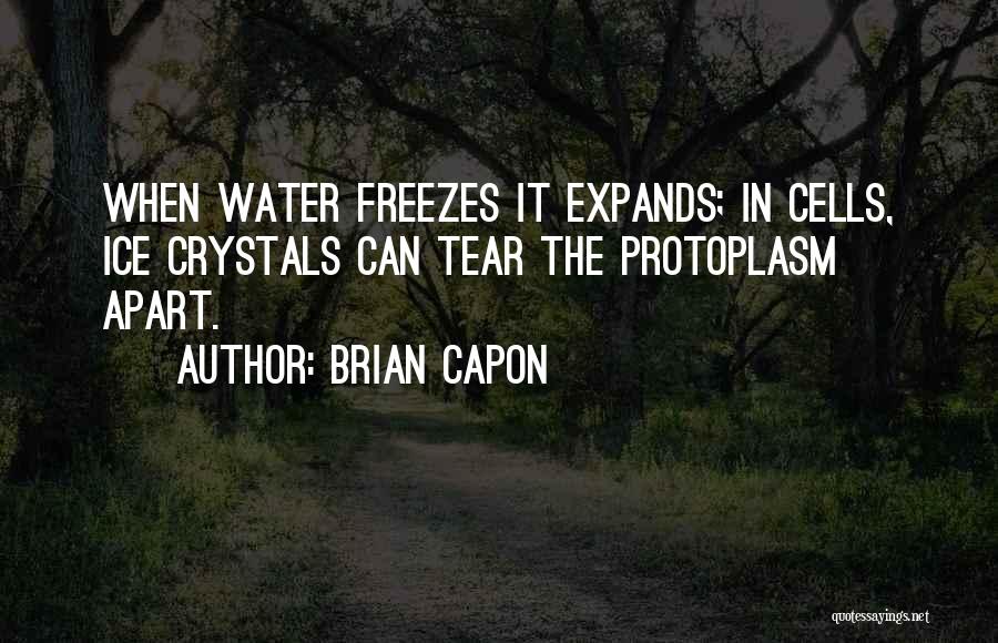 Brian Capon Quotes: When Water Freezes It Expands; In Cells, Ice Crystals Can Tear The Protoplasm Apart.