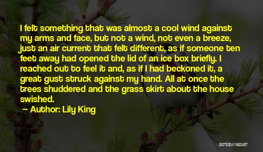 Lily King Quotes: I Felt Something That Was Almost A Cool Wind Against My Arms And Face, But Not A Wind, Not Even