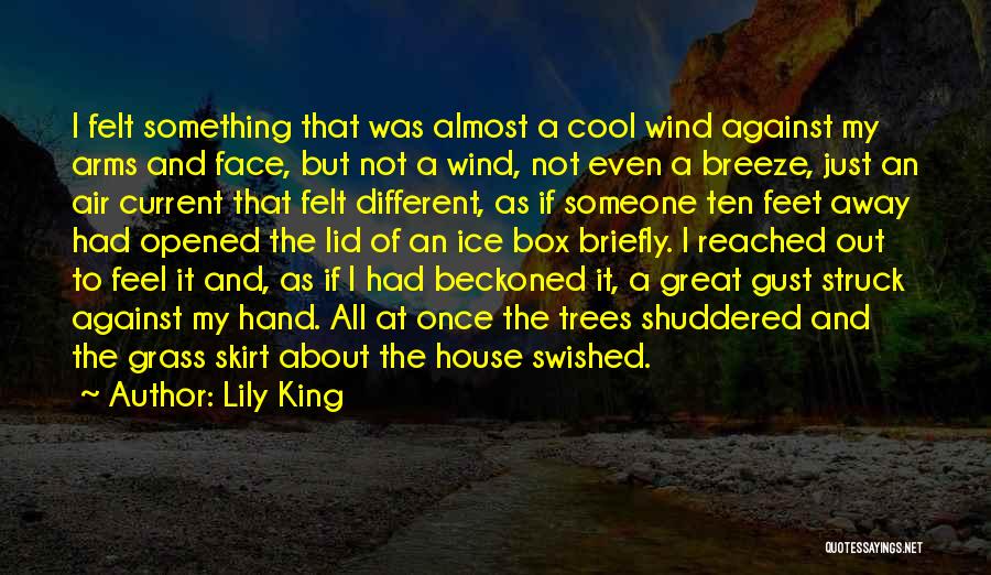 Lily King Quotes: I Felt Something That Was Almost A Cool Wind Against My Arms And Face, But Not A Wind, Not Even