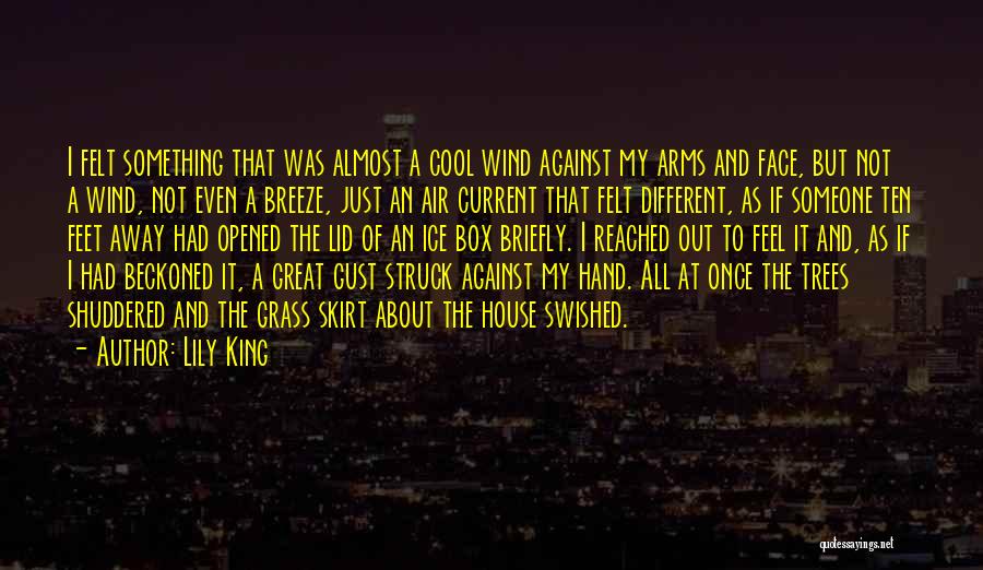Lily King Quotes: I Felt Something That Was Almost A Cool Wind Against My Arms And Face, But Not A Wind, Not Even
