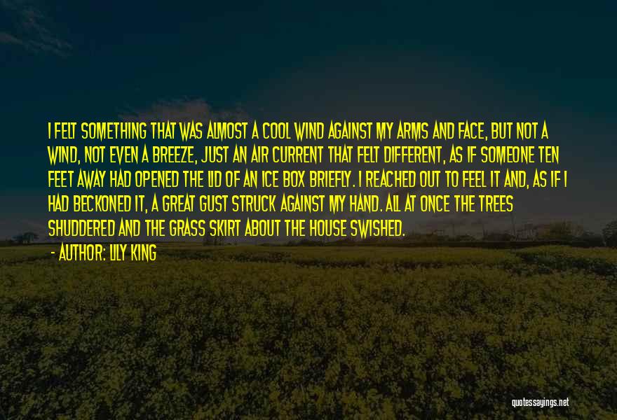 Lily King Quotes: I Felt Something That Was Almost A Cool Wind Against My Arms And Face, But Not A Wind, Not Even