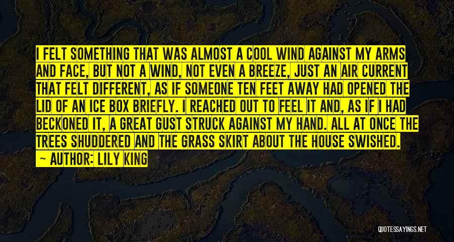 Lily King Quotes: I Felt Something That Was Almost A Cool Wind Against My Arms And Face, But Not A Wind, Not Even