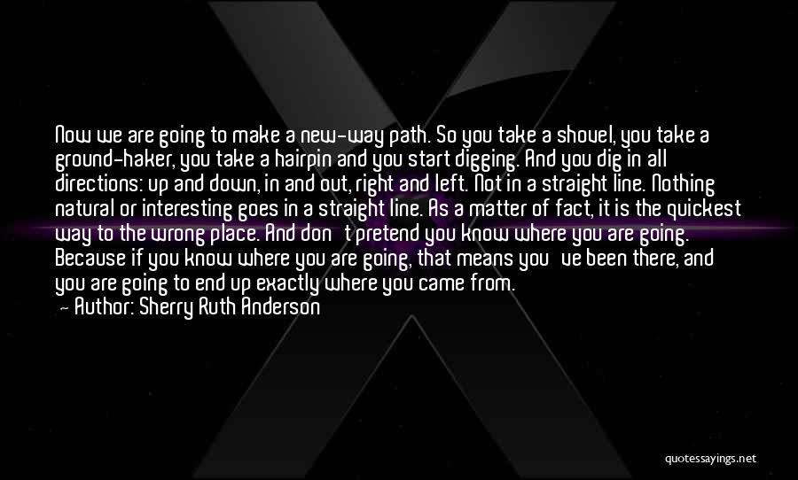 Sherry Ruth Anderson Quotes: Now We Are Going To Make A New-way Path. So You Take A Shovel, You Take A Ground-haker, You Take