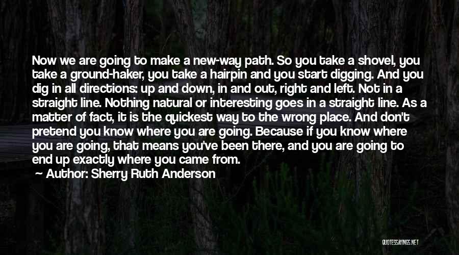 Sherry Ruth Anderson Quotes: Now We Are Going To Make A New-way Path. So You Take A Shovel, You Take A Ground-haker, You Take