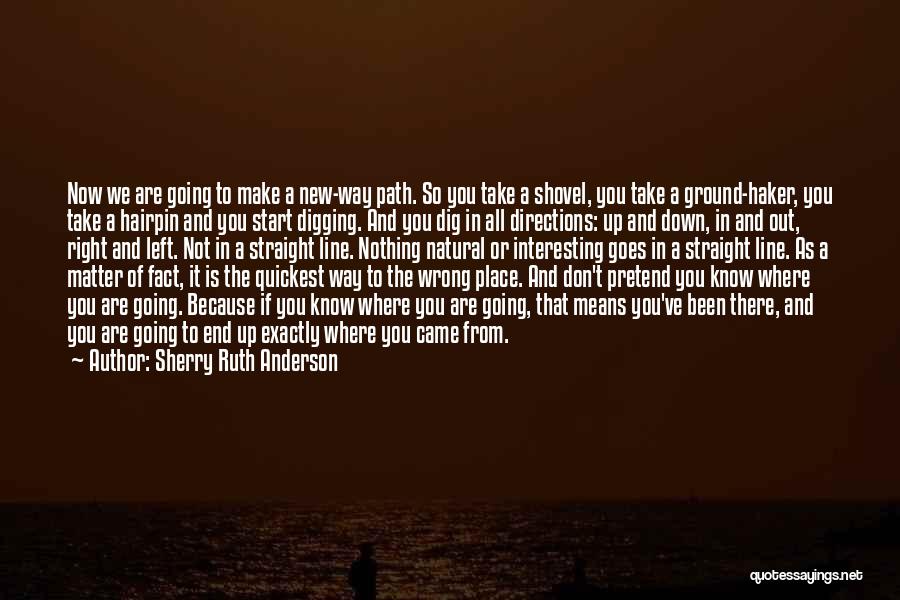 Sherry Ruth Anderson Quotes: Now We Are Going To Make A New-way Path. So You Take A Shovel, You Take A Ground-haker, You Take