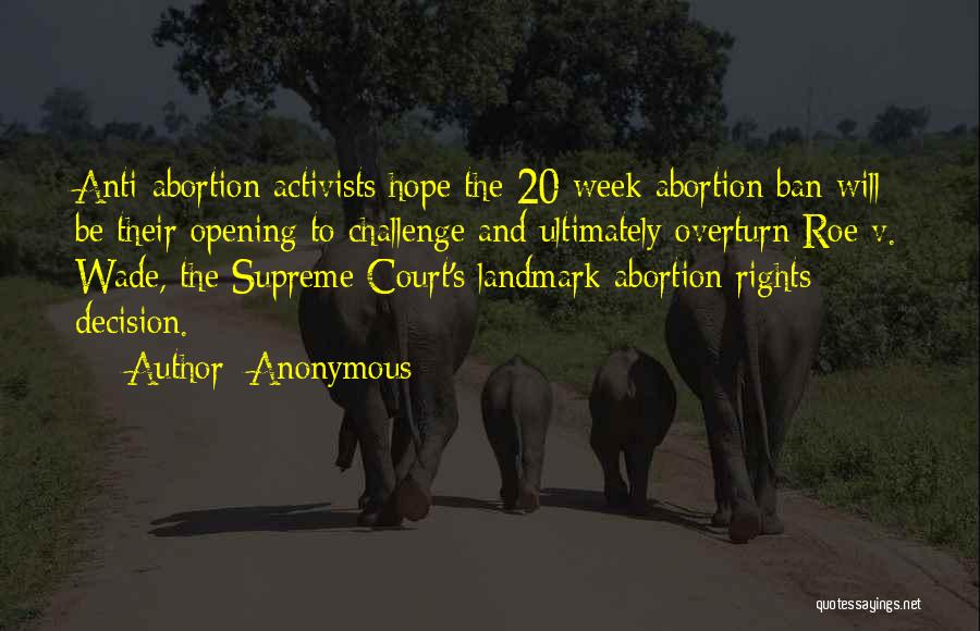 Anonymous Quotes: Anti-abortion Activists Hope The 20-week Abortion Ban Will Be Their Opening To Challenge And Ultimately Overturn Roe V. Wade, The