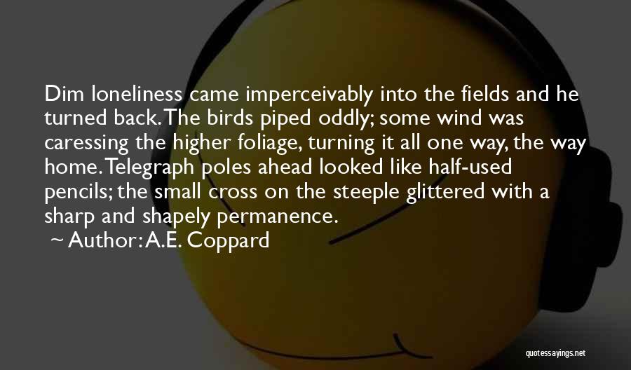 A.E. Coppard Quotes: Dim Loneliness Came Imperceivably Into The Fields And He Turned Back. The Birds Piped Oddly; Some Wind Was Caressing The