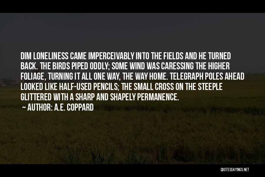 A.E. Coppard Quotes: Dim Loneliness Came Imperceivably Into The Fields And He Turned Back. The Birds Piped Oddly; Some Wind Was Caressing The