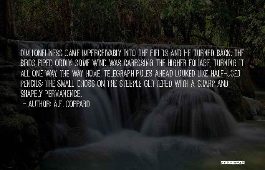 A.E. Coppard Quotes: Dim Loneliness Came Imperceivably Into The Fields And He Turned Back. The Birds Piped Oddly; Some Wind Was Caressing The