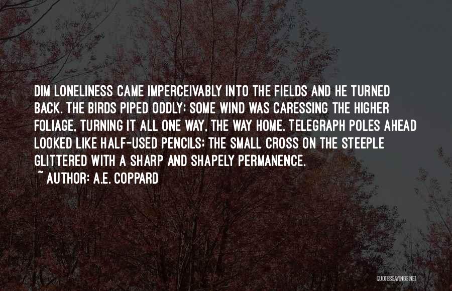 A.E. Coppard Quotes: Dim Loneliness Came Imperceivably Into The Fields And He Turned Back. The Birds Piped Oddly; Some Wind Was Caressing The