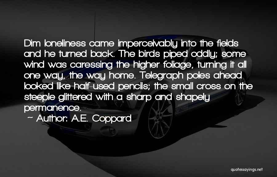 A.E. Coppard Quotes: Dim Loneliness Came Imperceivably Into The Fields And He Turned Back. The Birds Piped Oddly; Some Wind Was Caressing The