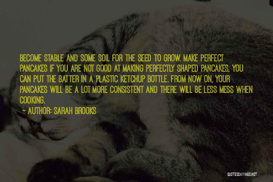 Sarah Brooks Quotes: Become Stable And Some Soil For The Seed To Grow. Make Perfect Pancakes If You Are Not Good At Making