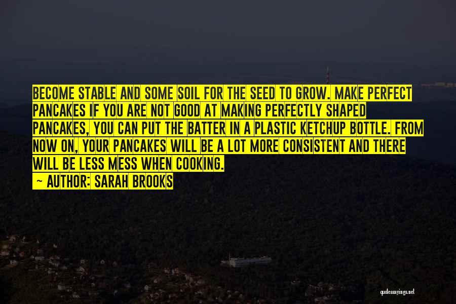 Sarah Brooks Quotes: Become Stable And Some Soil For The Seed To Grow. Make Perfect Pancakes If You Are Not Good At Making