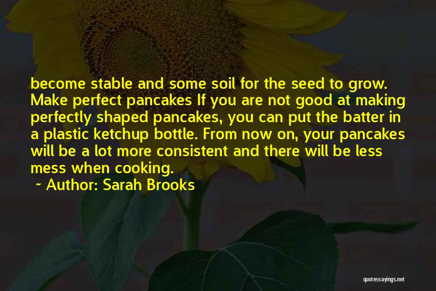 Sarah Brooks Quotes: Become Stable And Some Soil For The Seed To Grow. Make Perfect Pancakes If You Are Not Good At Making