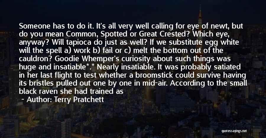 Terry Pratchett Quotes: Someone Has To Do It. It's All Very Well Calling For Eye Of Newt, But Do You Mean Common, Spotted