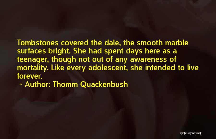 Thomm Quackenbush Quotes: Tombstones Covered The Dale, The Smooth Marble Surfaces Bright. She Had Spent Days Here As A Teenager, Though Not Out