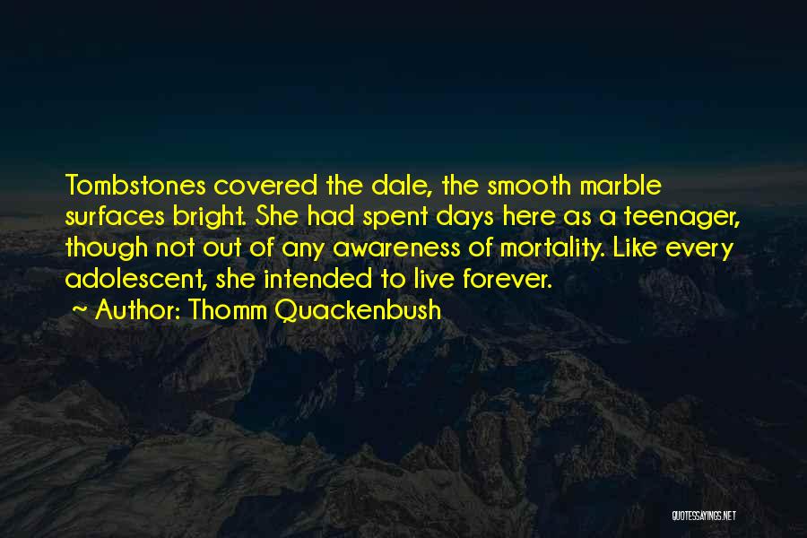 Thomm Quackenbush Quotes: Tombstones Covered The Dale, The Smooth Marble Surfaces Bright. She Had Spent Days Here As A Teenager, Though Not Out