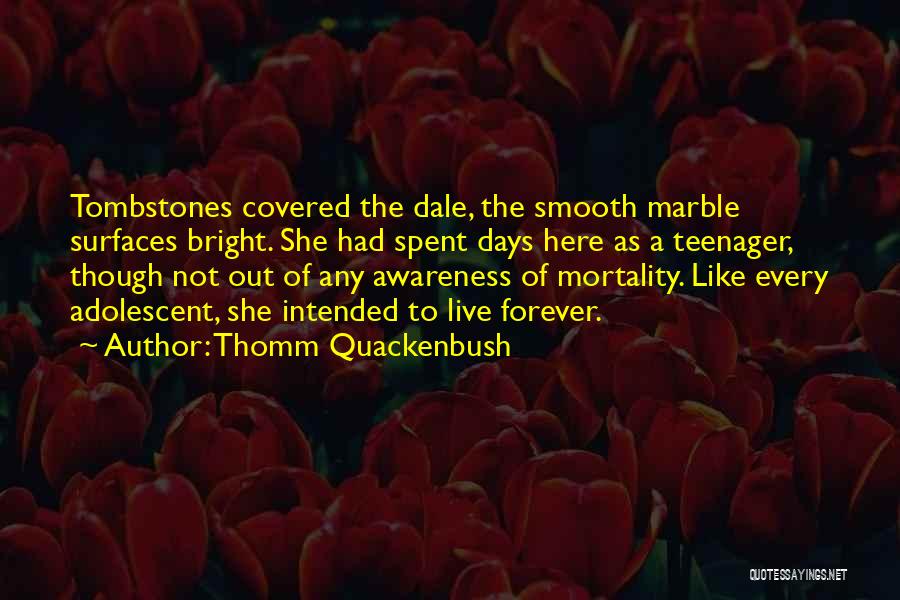 Thomm Quackenbush Quotes: Tombstones Covered The Dale, The Smooth Marble Surfaces Bright. She Had Spent Days Here As A Teenager, Though Not Out